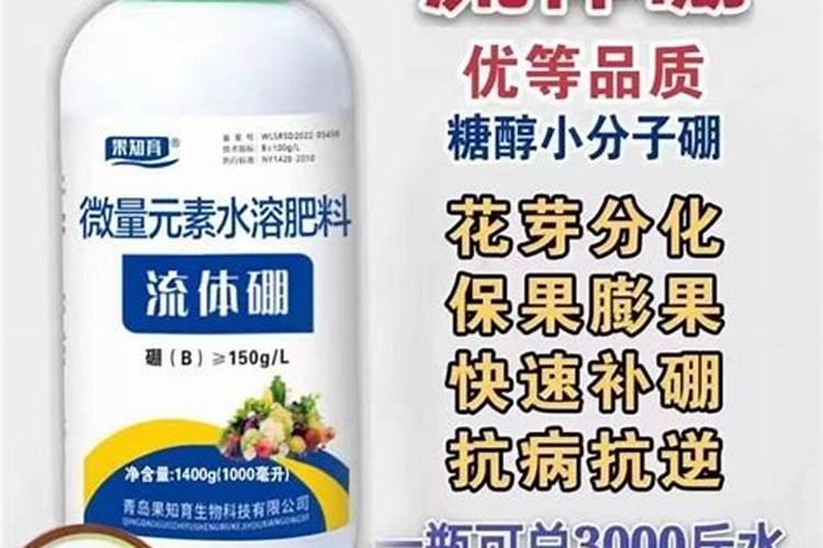 果树用什么硼肥好