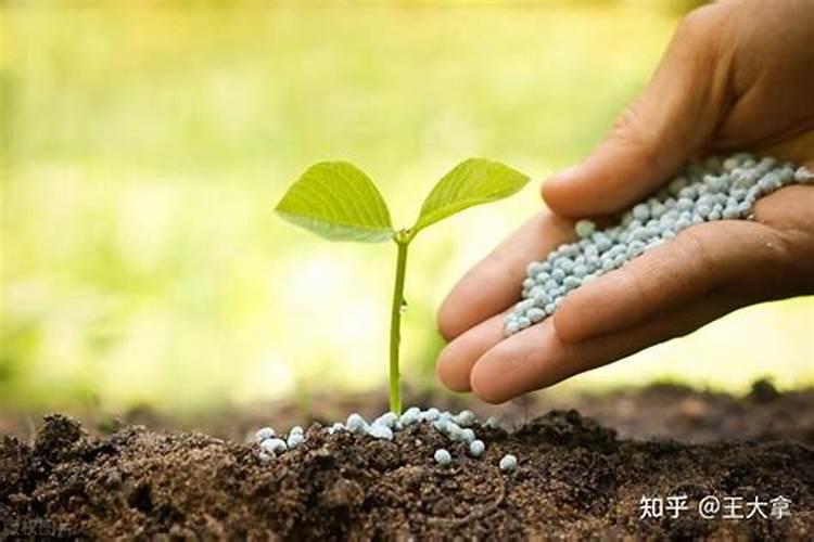 怎样鉴别肥料真假