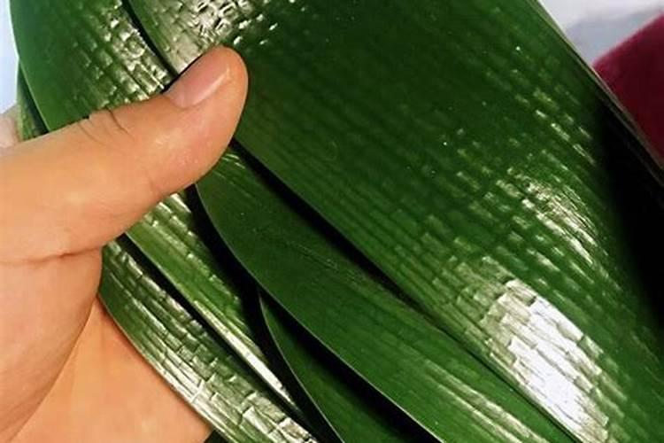 让叶子油绿的4个偏方