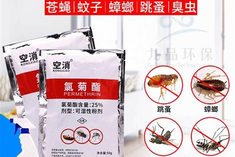 杀灭臭虫用粉剂好还是水剂好？