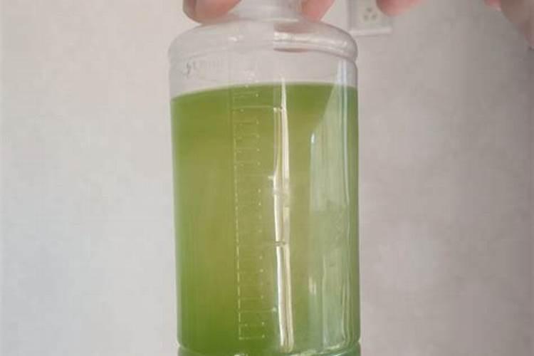 爆藻需要氮磷肥吗为什么呢？