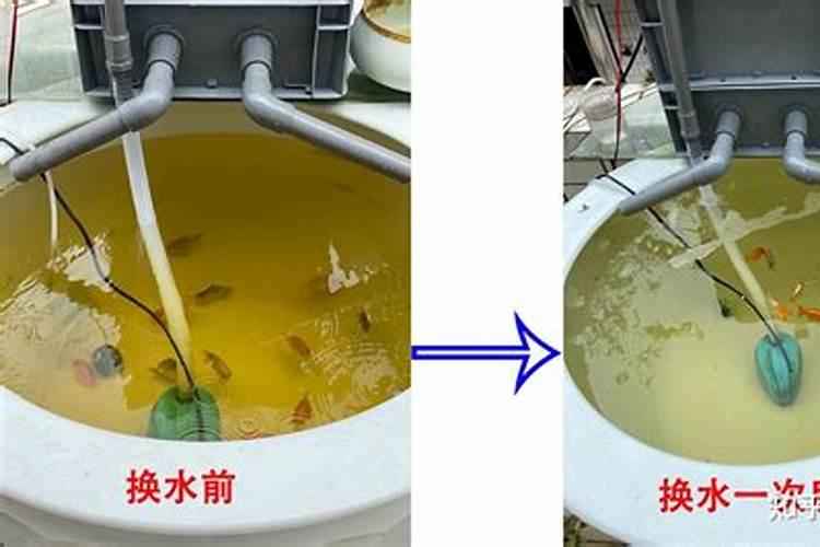 鱼缸水发黄怎么办