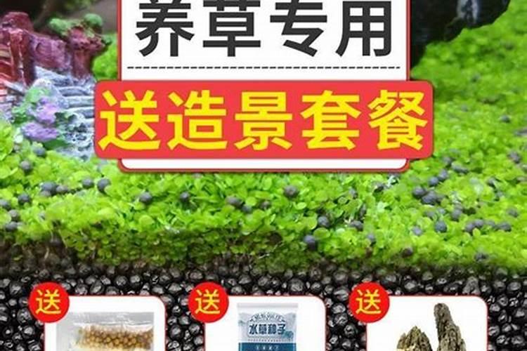养水草加什么肥料