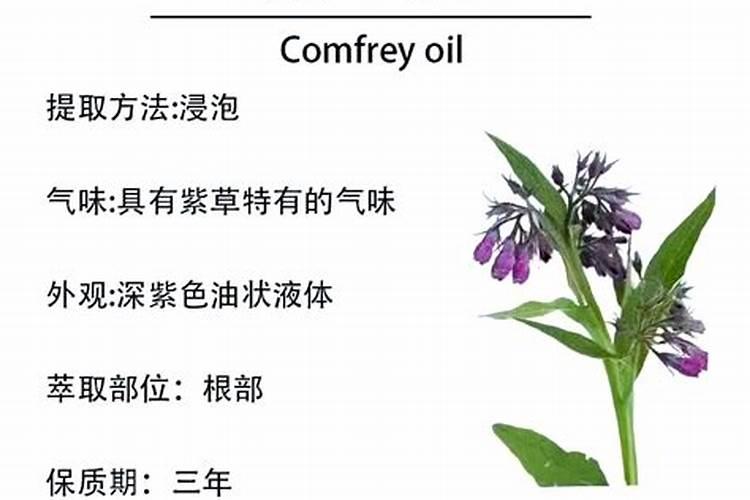 紫草油的功效与作用