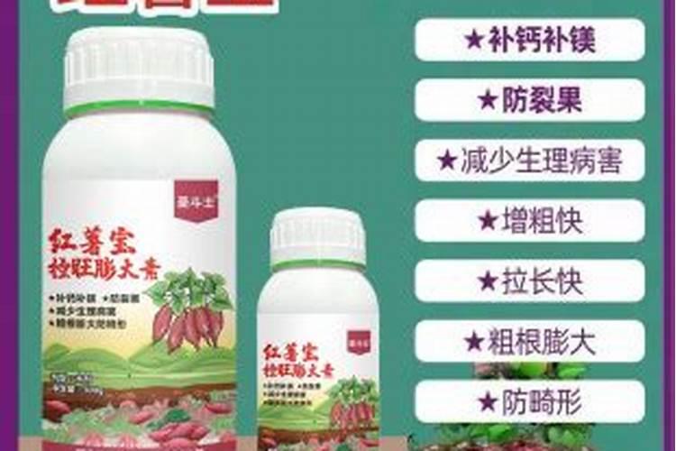 红薯宝宝叶面肥使用方法