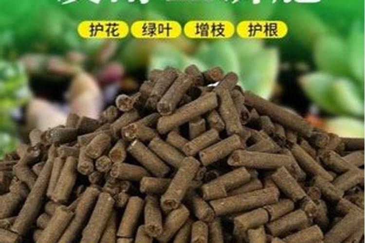 豆饼肥60斤价格表