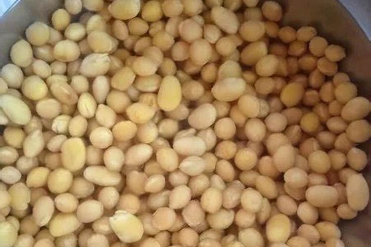 豆子用什么肥料好？