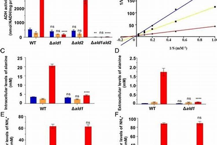 氮肥均含有nh4吗为什么？