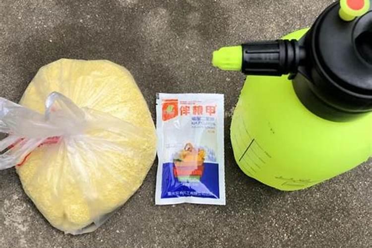 怎么给月季使用复合肥