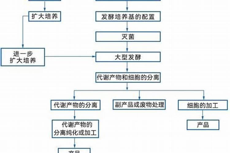 水溶肥发酵菌种有哪些类型？