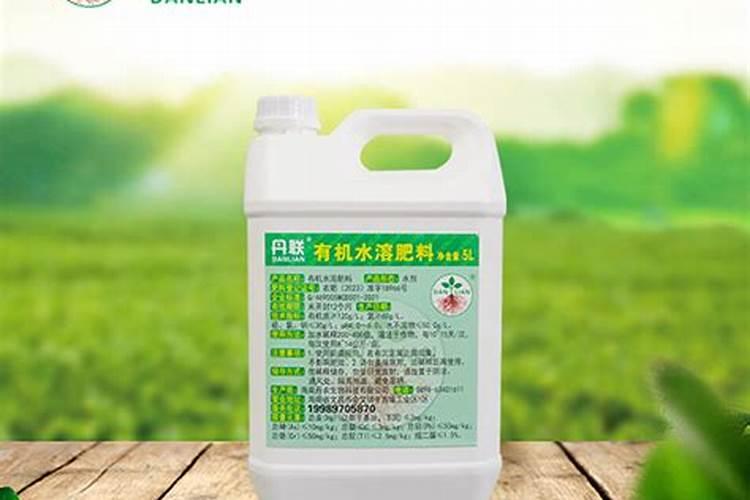 马蹄膨大期用哪种水溶肥最好？