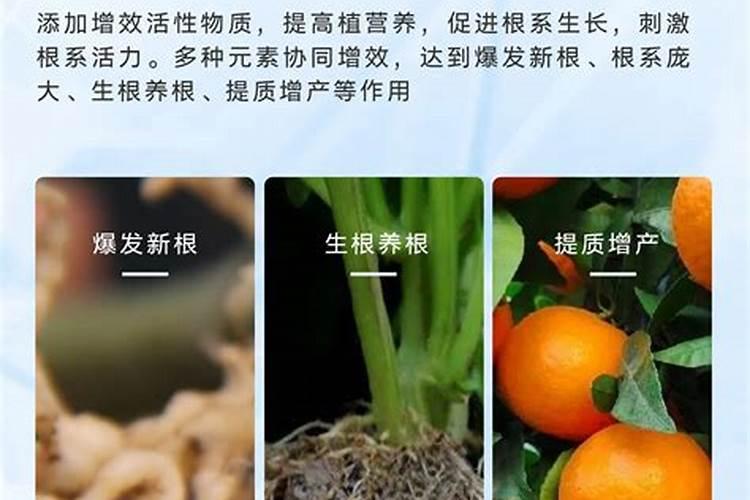 蜂蜜能代替氨基酸对果树用肥吗？