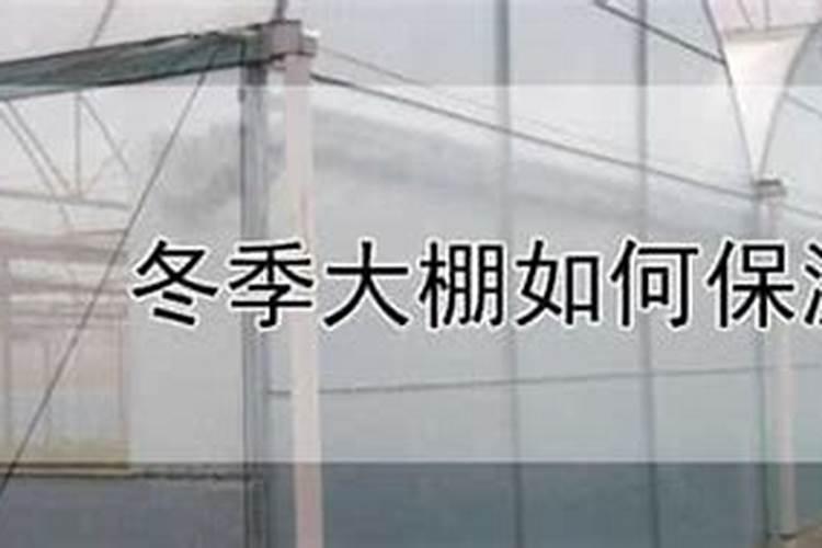 大棚冬天怎样补钙肥料最好用？
