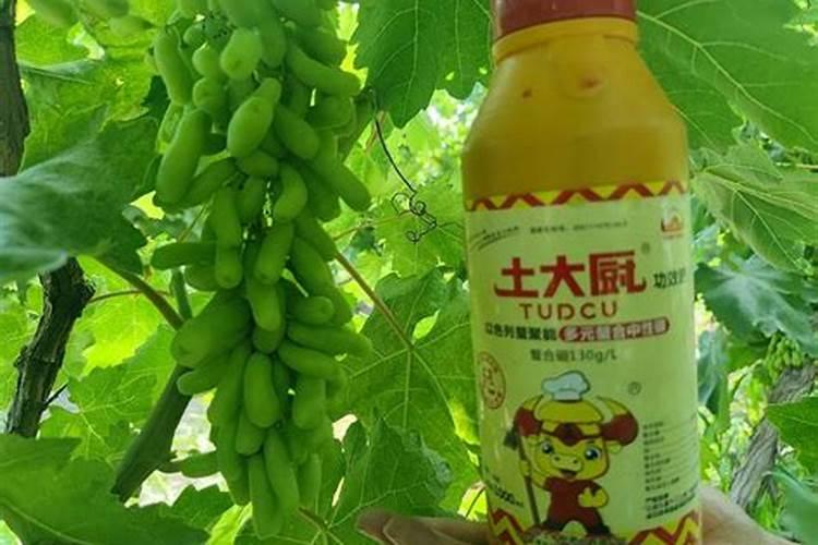 锌肥和硼肥怎么混合用效果好一点？