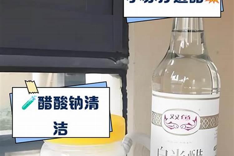 白醋啤酒小苏打杀虫法