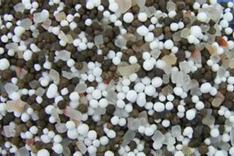 水溶肥多久能化开水泡一次？