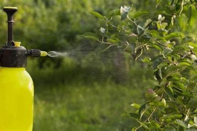 1:1000的尿素。给植物叶面喷施可以吗？