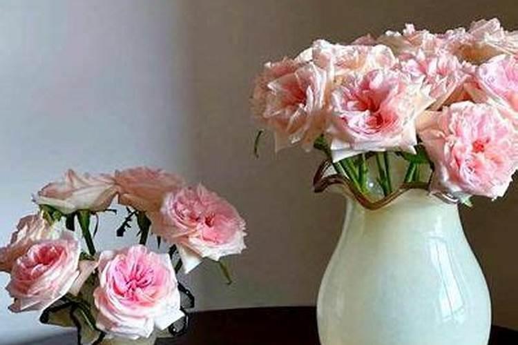 养花能放点二铵吗？