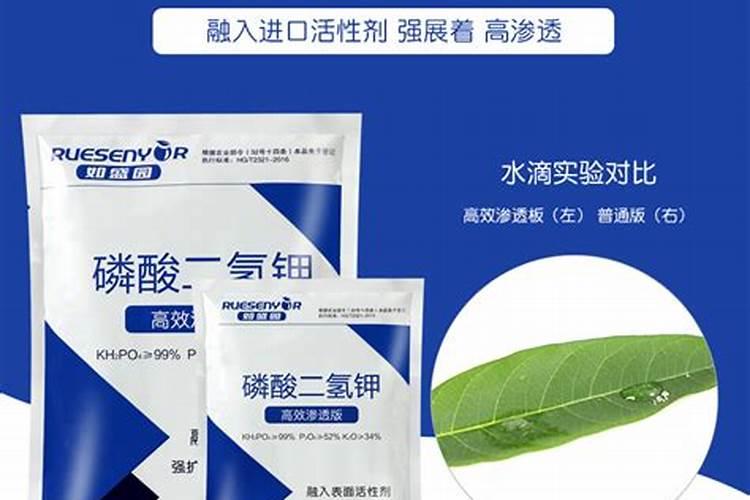 发财树能喷磷酸二氢钾叶面肥吗