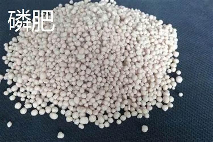 磷肥和复合肥的区别