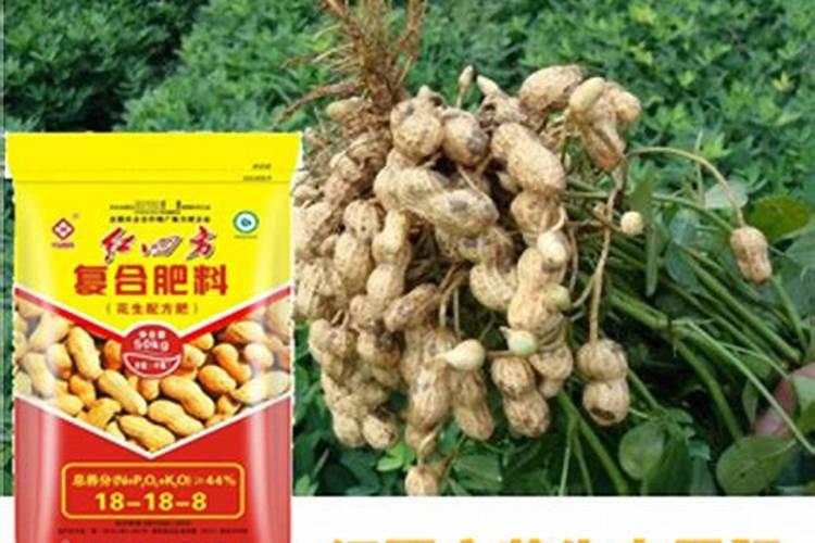 花生地喜欢什么肥料