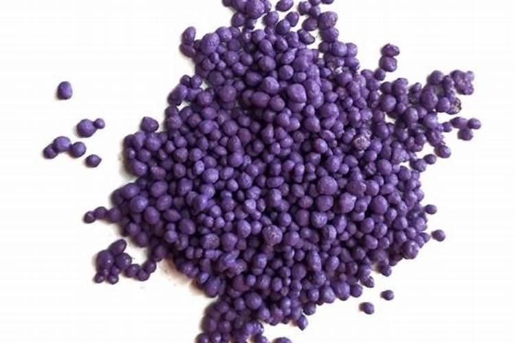 dmpp肥料怎么用效果好