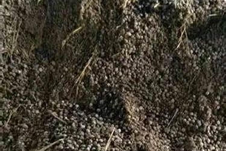 警惕!这些所谓的“有机肥”,都是坑农!