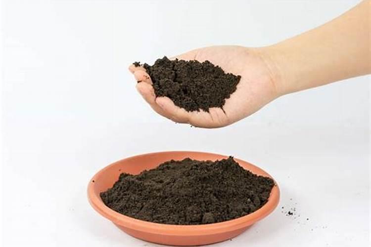 羊粪做叶面肥的配方