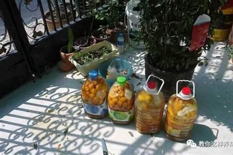 自制不臭的植物液肥(自制液肥如何除臭)