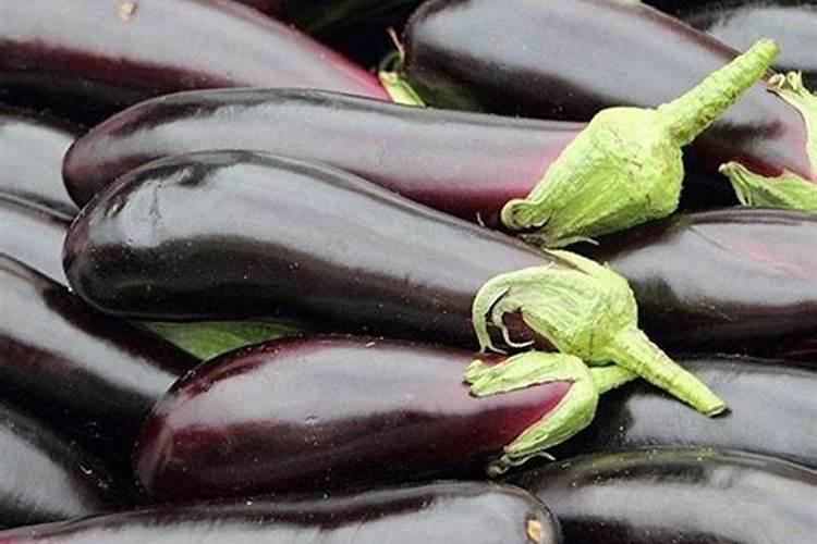 茄子高产用什么叶面肥好？茄子促花保果根茎块膨大素？