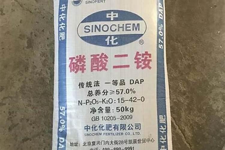 种白菜时磷酸二铵和菜籽一起放沟里行吗