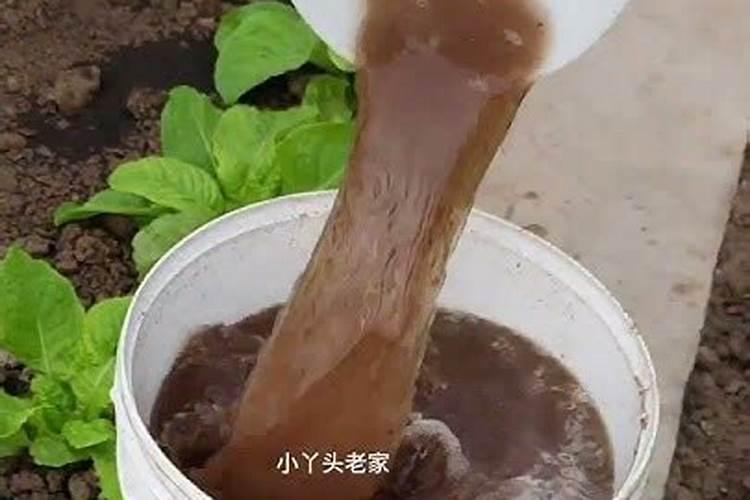 豆粕可以当钙肥吗为什么不能用？