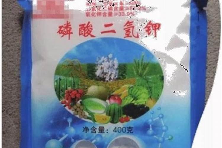 兰花叶面肥有哪些