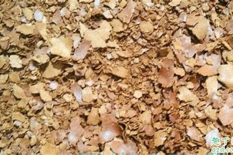 怎么制作饼肥不臭 用芝麻饼肥种牡丹苗可以吗