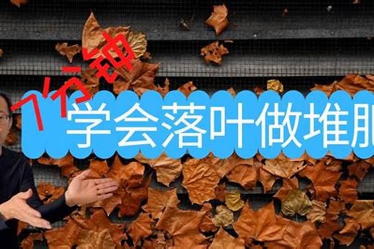 如何让树叶快速腐烂