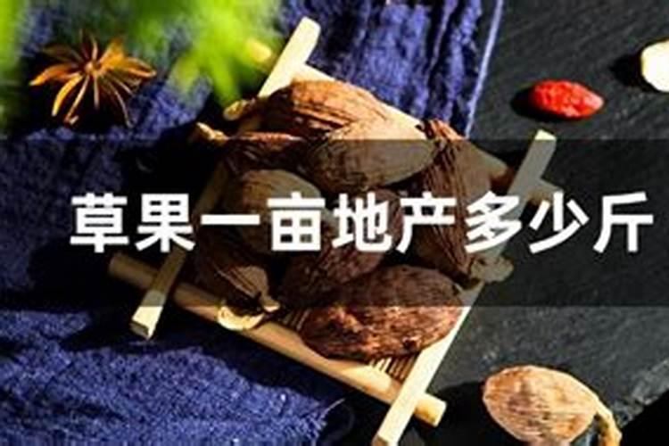 菇娘一亩地产多少斤