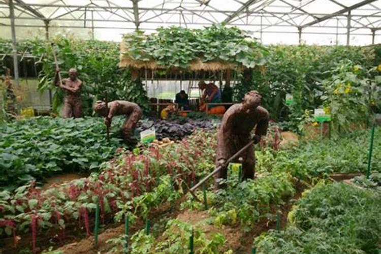 山东蔬菜基地在哪里