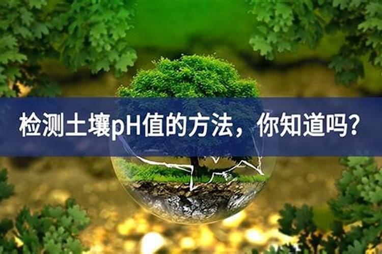 腐殖酸钠能降低养殖池塘的PH吗？