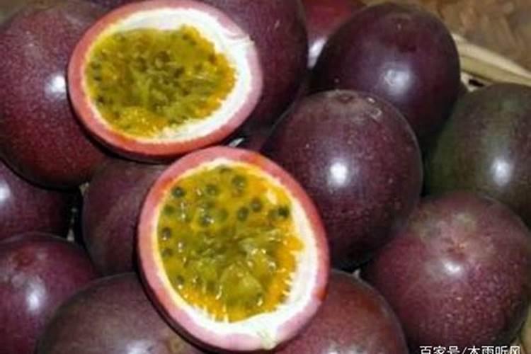 要想百香果结果多需用什么肥