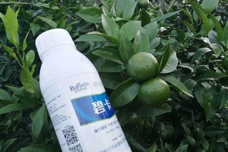 花椒树旱地水溶肥怎么施？