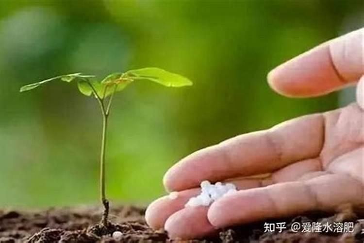 过量施肥的危害