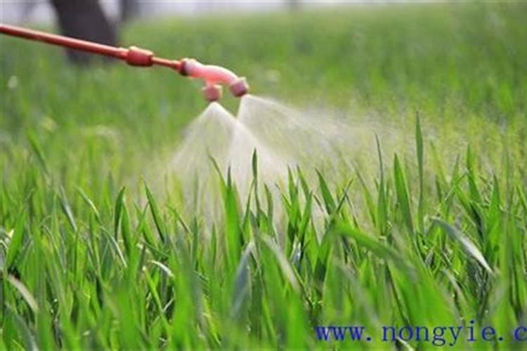 液体叶面肥的配制方法有哪些？