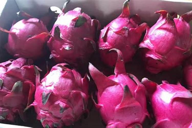 火龙果转色不好怎么办？火龙果转色漂亮打什么叶面肥？