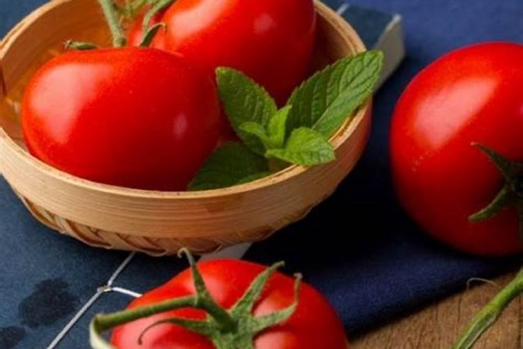 西红柿施肥之锌肥