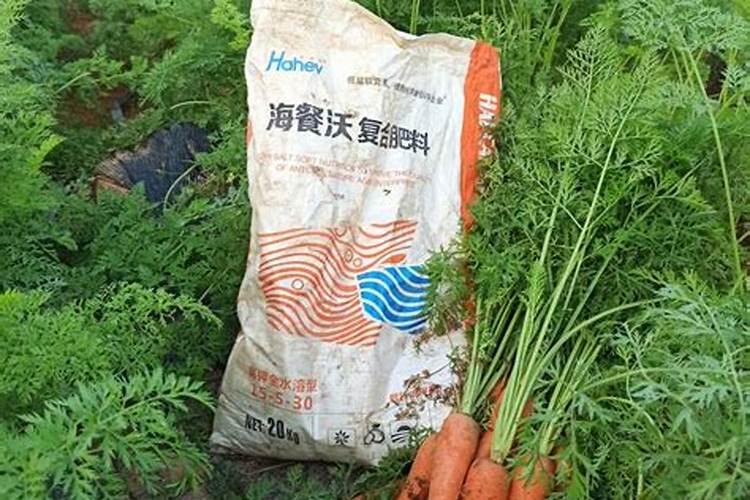 好的水溶肥怎么选？