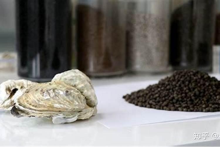 玛塔牡蛎钙21世纪农业发展最具魅力的纯天然海洋钙