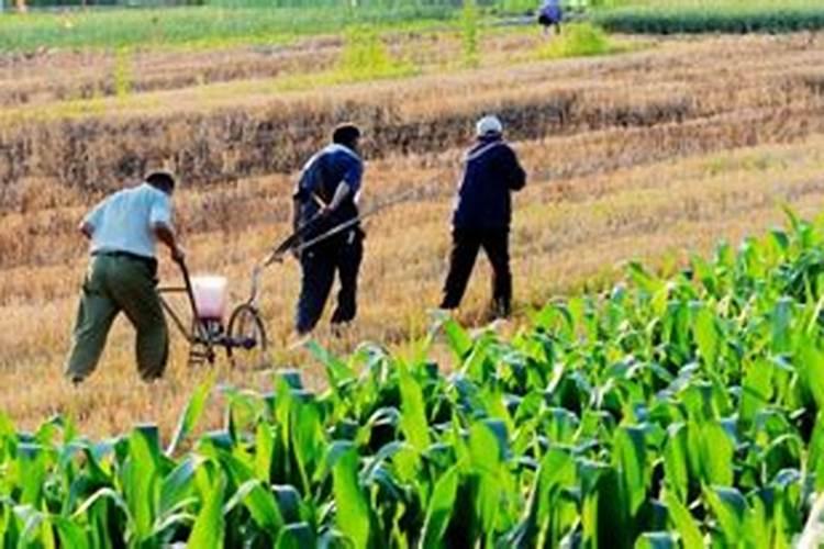 氮磷钾肥的施肥量计算方法