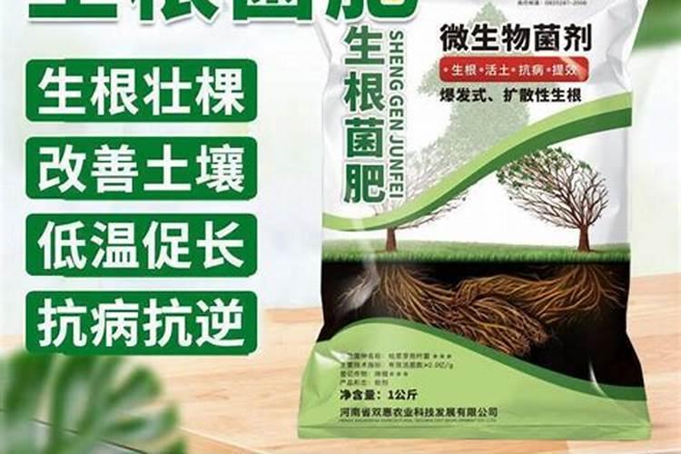 生根最快的肥料