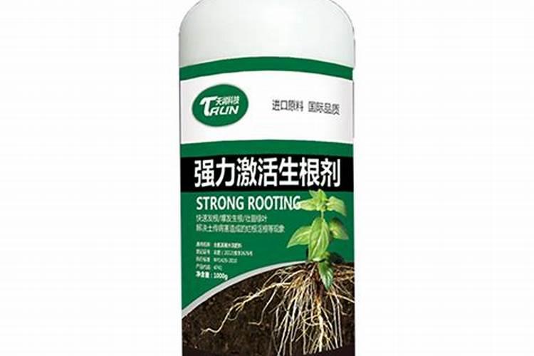水溶肥可以加生根剂吗