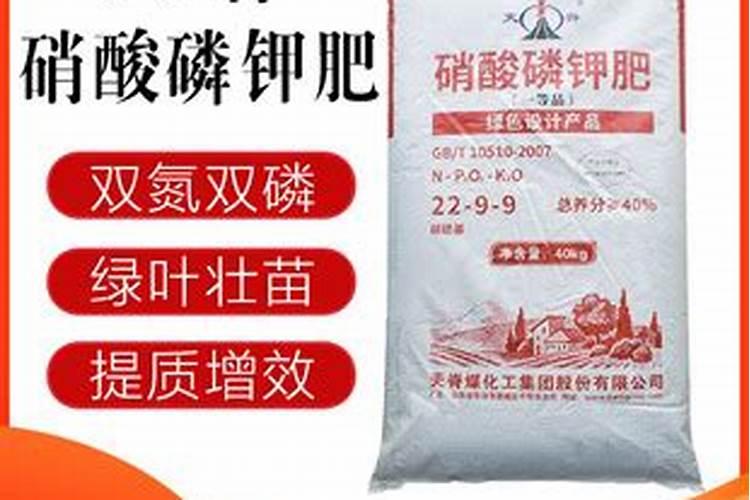 硝酸钾肥批发100斤价格多少？